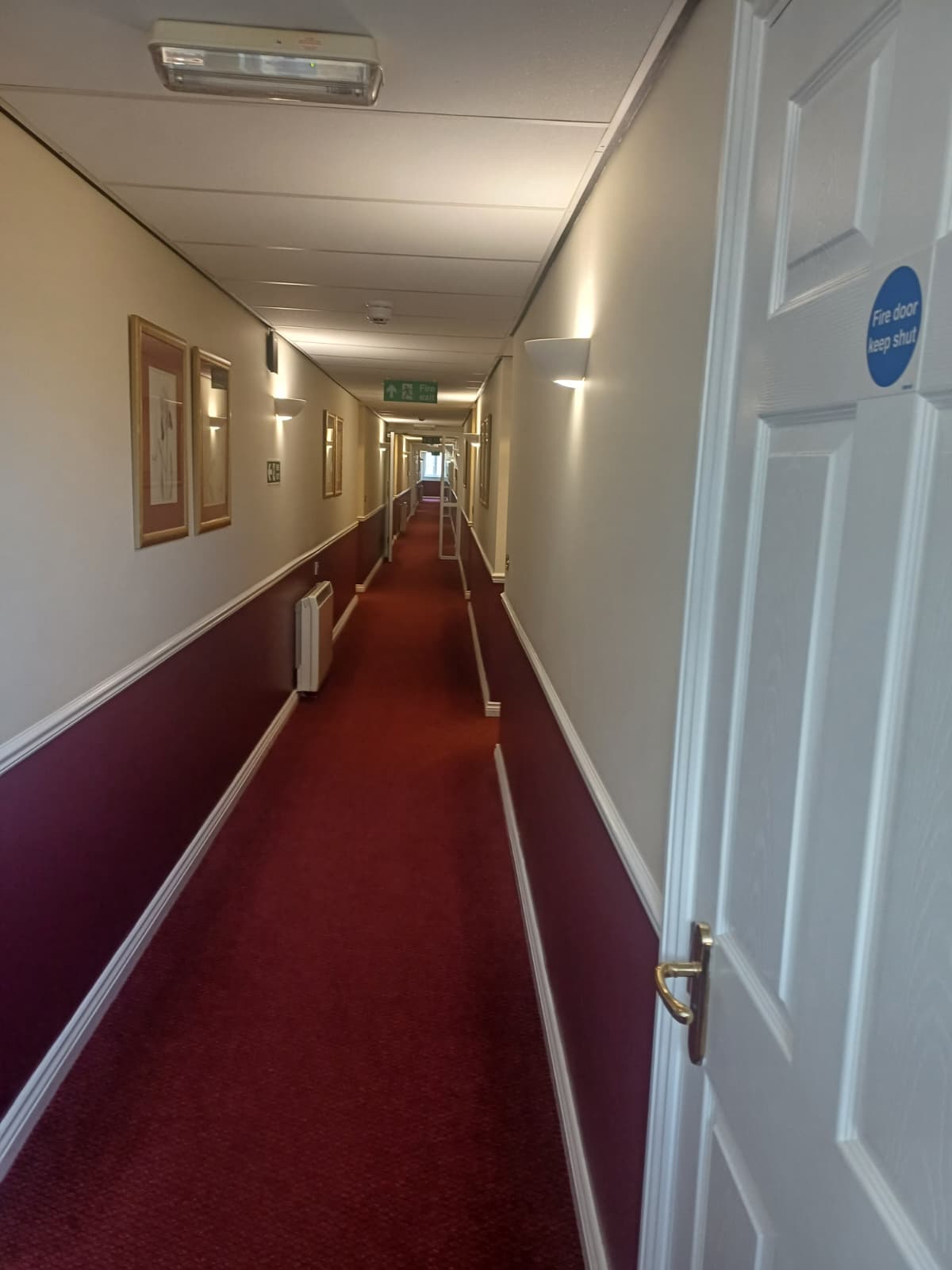 Daras team performing professional commercial cleaning